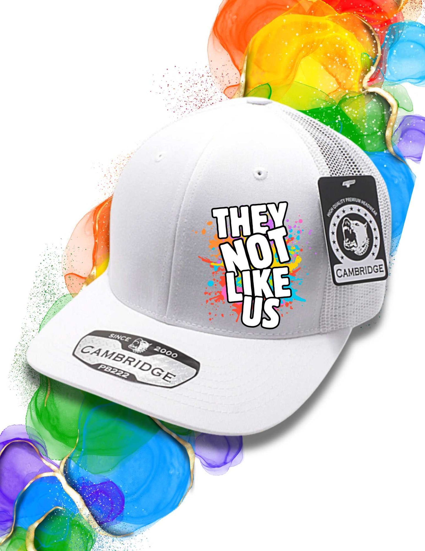 They Not Like Us Adjustable Trucker Cap Mesh Back