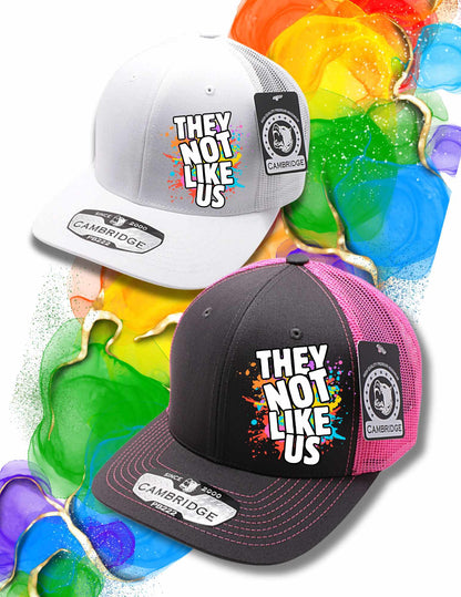 They Not Like Us Adjustable Trucker Cap Mesh Back